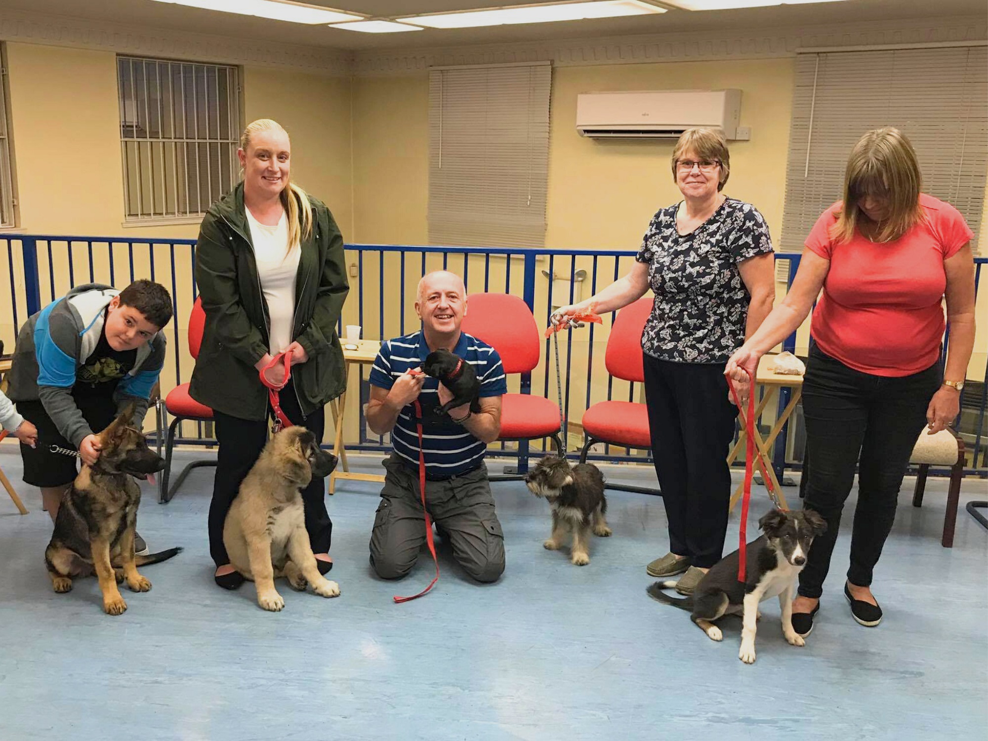 Graduates of one of our puppy classes